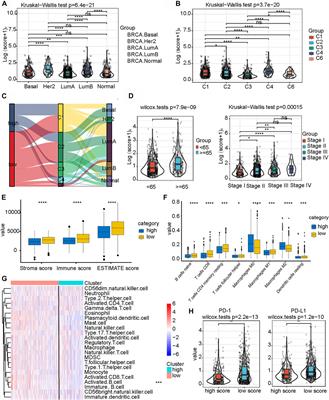 N6-methyladenosine Regulator-Mediated Immune Genes Identify Breast Cancer Immune Subtypes and Predict Immunotherapy Efficacy